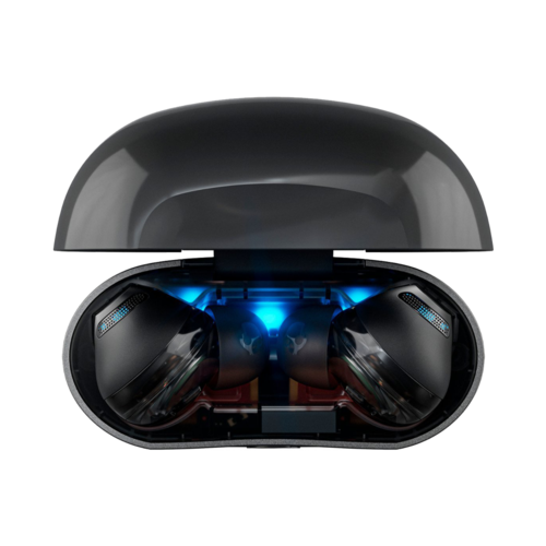 Rail ANC True Wireless Earbuds_True Black_Buds in Case-Top View.png